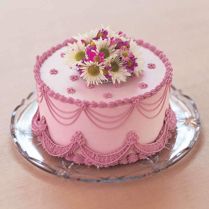 Decorating Cakes: A Reference and Idea Book by The School image number 10