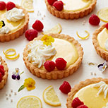 Shop cupcake supplies