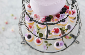 Shop cupcake and treat stands